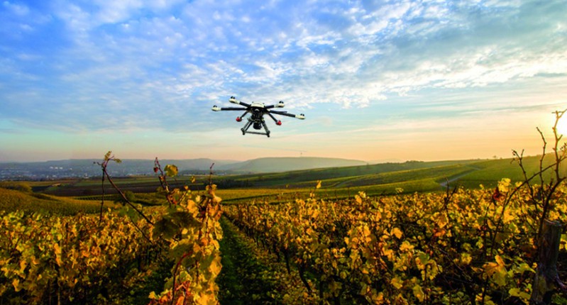 Drones y agricultura