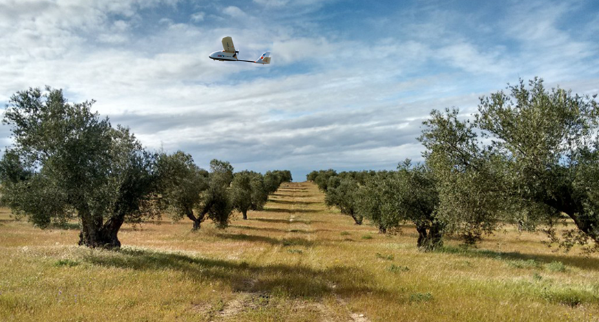 Agricultura SIG drones